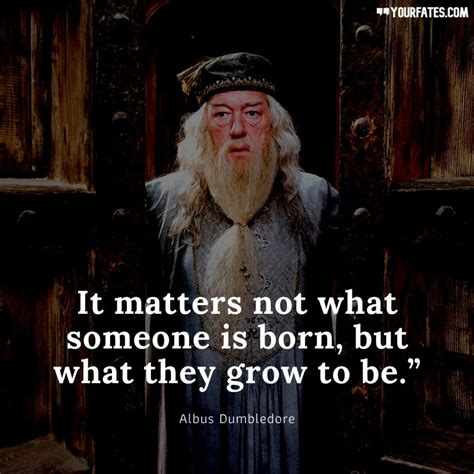 79 Best Harry Potter Quotes About Life, Love, and Loss